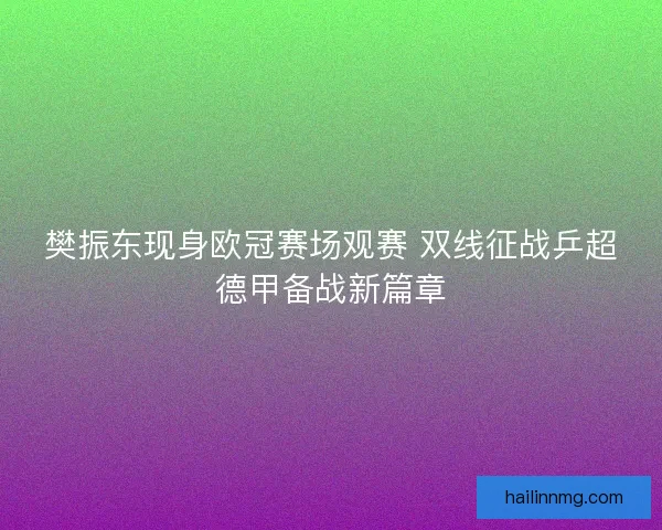 樊振东现身欧冠赛场观赛 双线征战乒超德甲备战新篇章