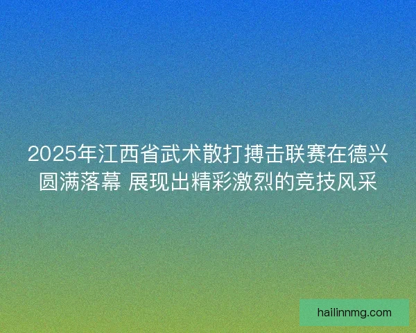 2025年江西省武术散打搏击联赛在德兴圆满落幕 展现出精彩激烈的竞技风采