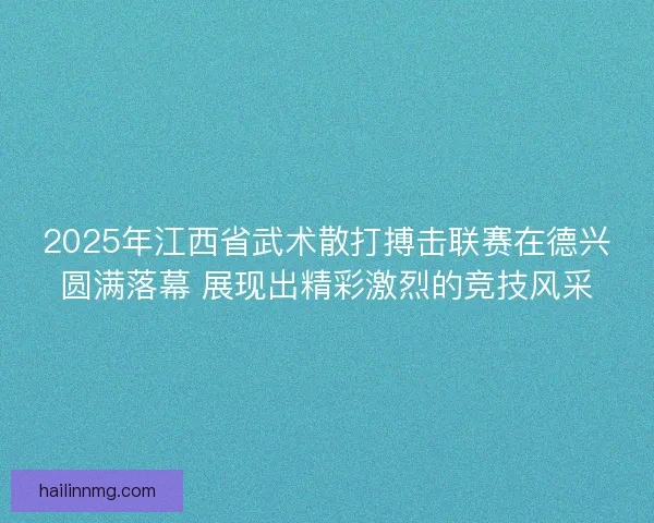 2025年江西省武术散打搏击联赛在德兴圆满落幕 展现出精彩激烈的竞技风采